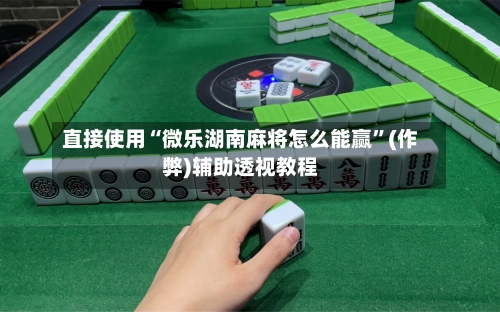 直接使用“微乐湖南麻将怎么能赢”(作弊)辅助透视教程