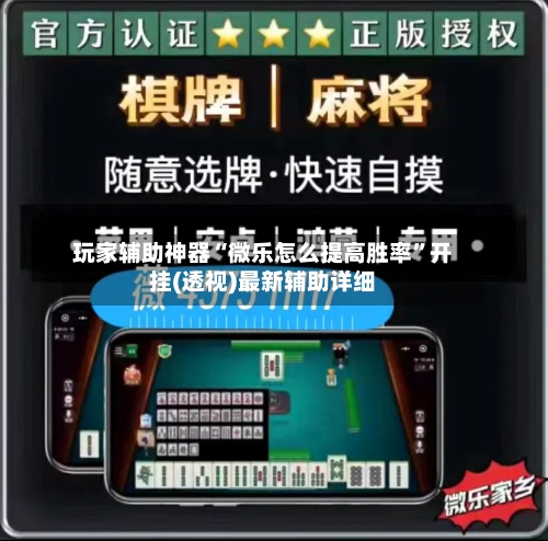 玩家辅助神器“微乐怎么提高胜率”开挂(透视)最新辅助详细