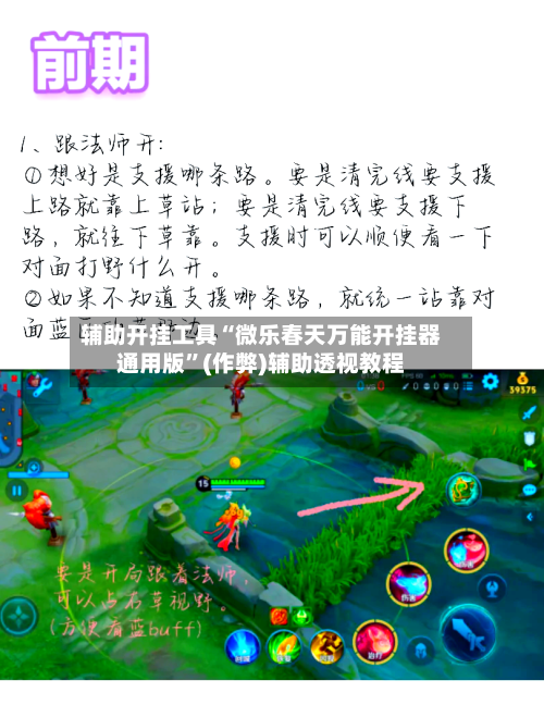 辅助开挂工具“微乐春天万能开挂器通用版”(作弊)辅助透视教程