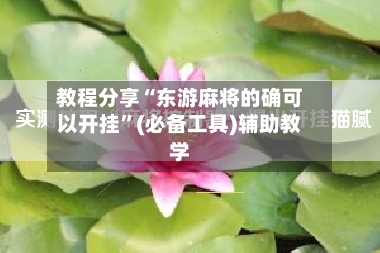 教程分享“东游麻将的确可以开挂”(必备工具)辅助教学