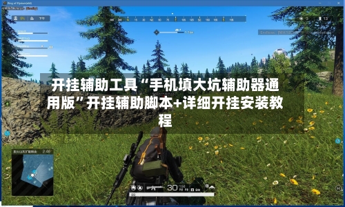 开挂辅助工具“手机填大坑辅助器通用版”开挂辅助脚本+详细开挂安装教程