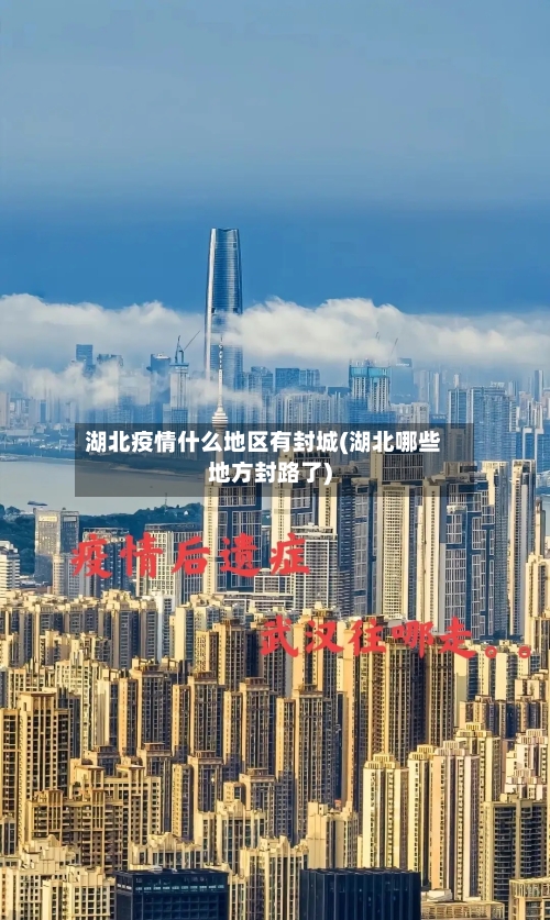 湖北疫情什么地区有封城(湖北哪些地方封路了)
