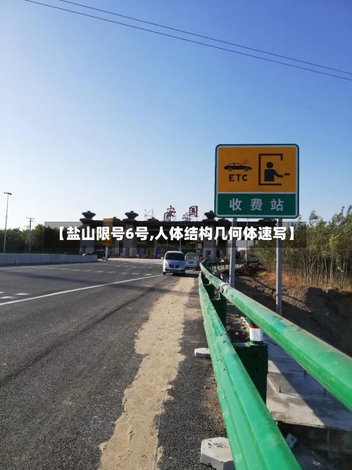【盐山限号6号,人体结构几何体速写】