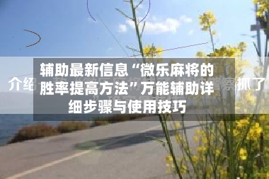 辅助最新信息“微乐麻将的胜率提高方法”万能辅助详细步骤与使用技巧