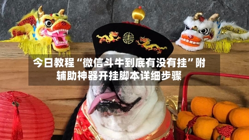 今日教程“微信斗牛到底有没有挂”附辅助神器开挂脚本详细步骤